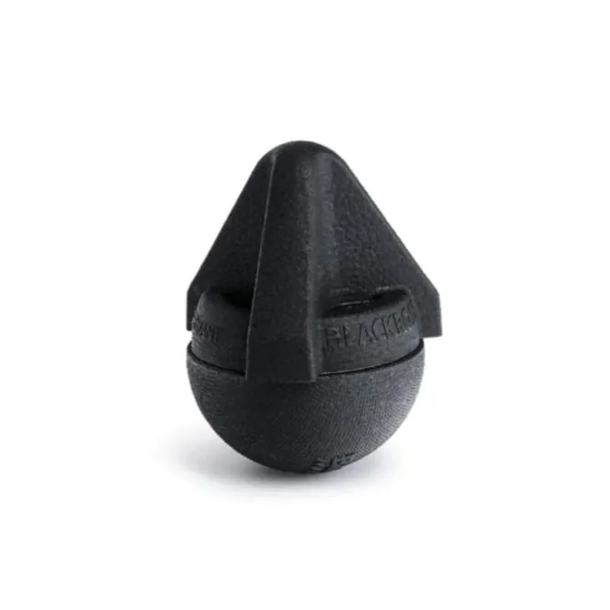 Blackroll Back Box