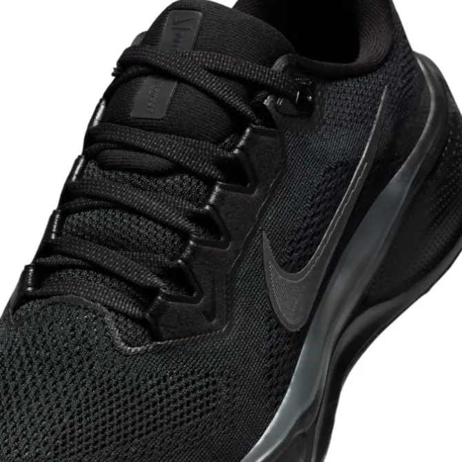 Nike Pegasus 41