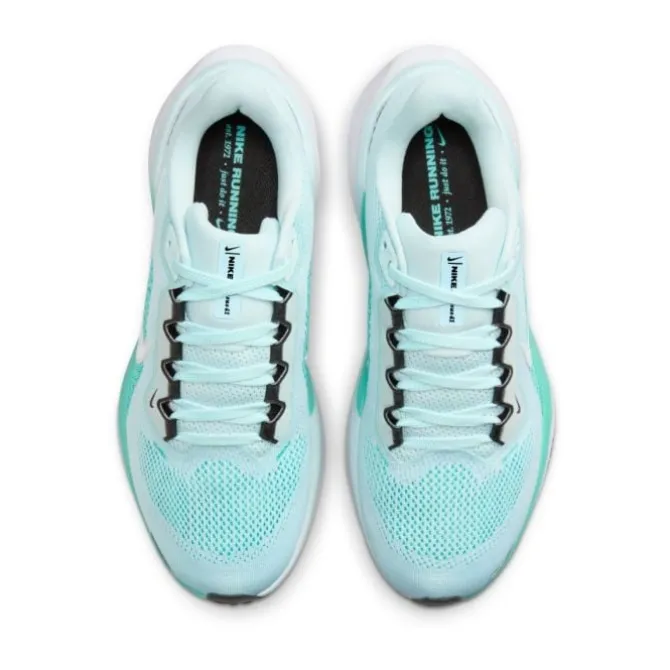 Nike Pegasus 41
