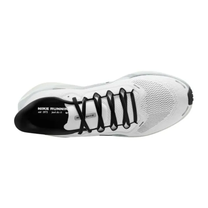 Nike Pegasus 41