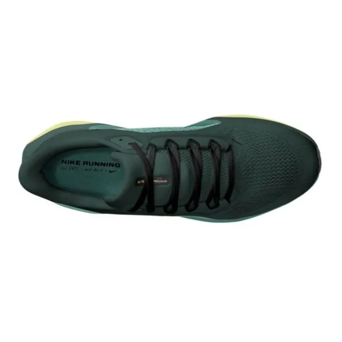 Nike Pegasus 41