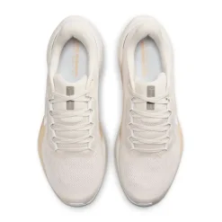 Nike Pegasus 41