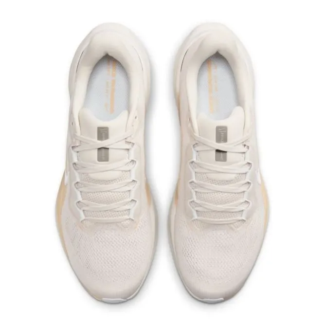 Nike Pegasus 41