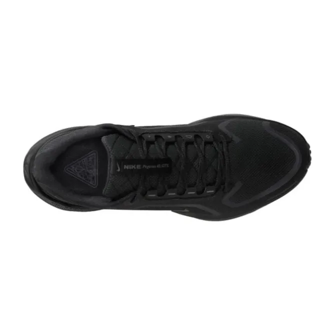 Nike Pegasus 41 Gore-Tex
