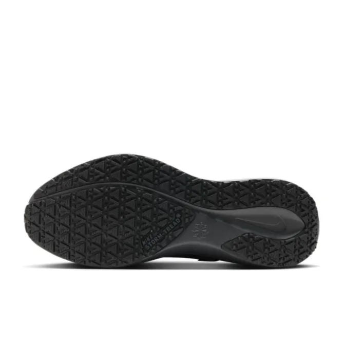 Nike Pegasus 41 Gore-Tex