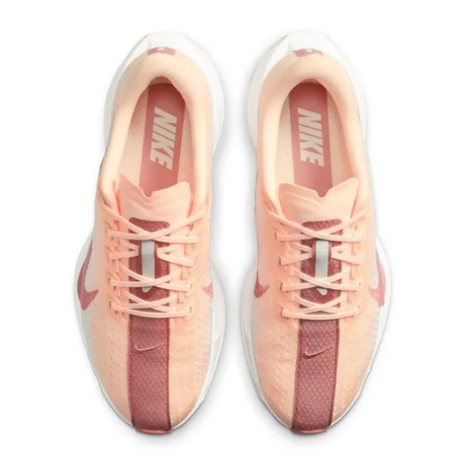 Nike Pegasus Plus