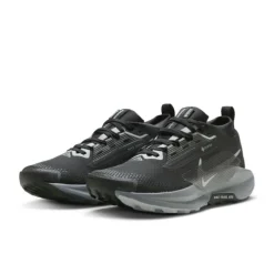 Nike Pegasus Trail 5 Gore-Tex