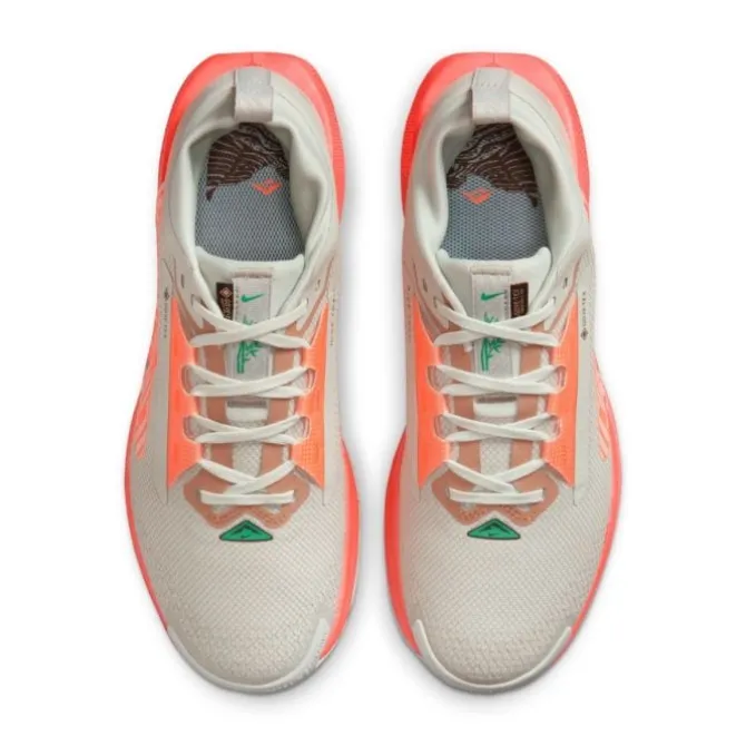 Nike Pegasus Trail 5 Gore-Tex