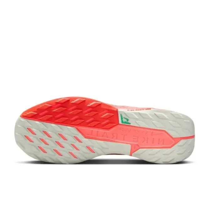 Nike Pegasus Trail 5 Gore-Tex