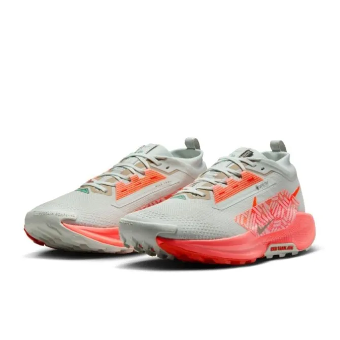 Nike Pegasus Trail 5 Gore-Tex