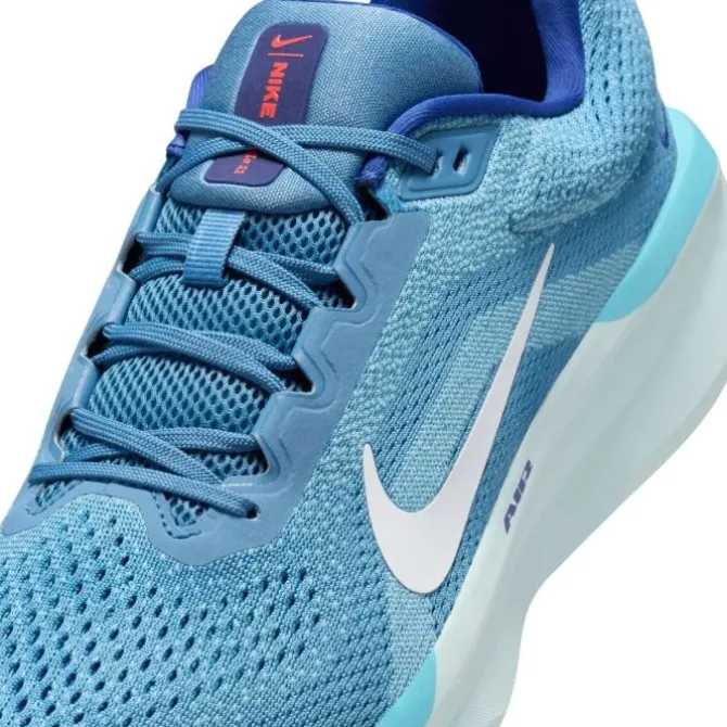 Nike Winflo 11