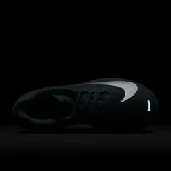 Nike Zoom Fly 6