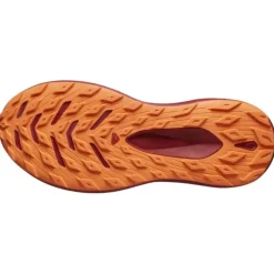 Salomon Glide Max TR