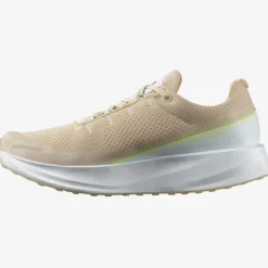 Salomon Index 02