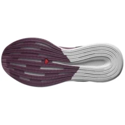 Salomon Spectur