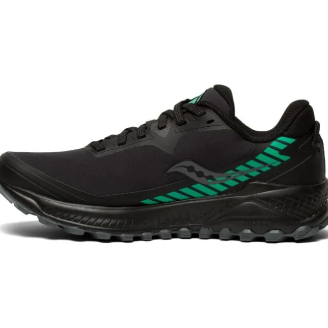 Saucony Peregrine ICE+ 2